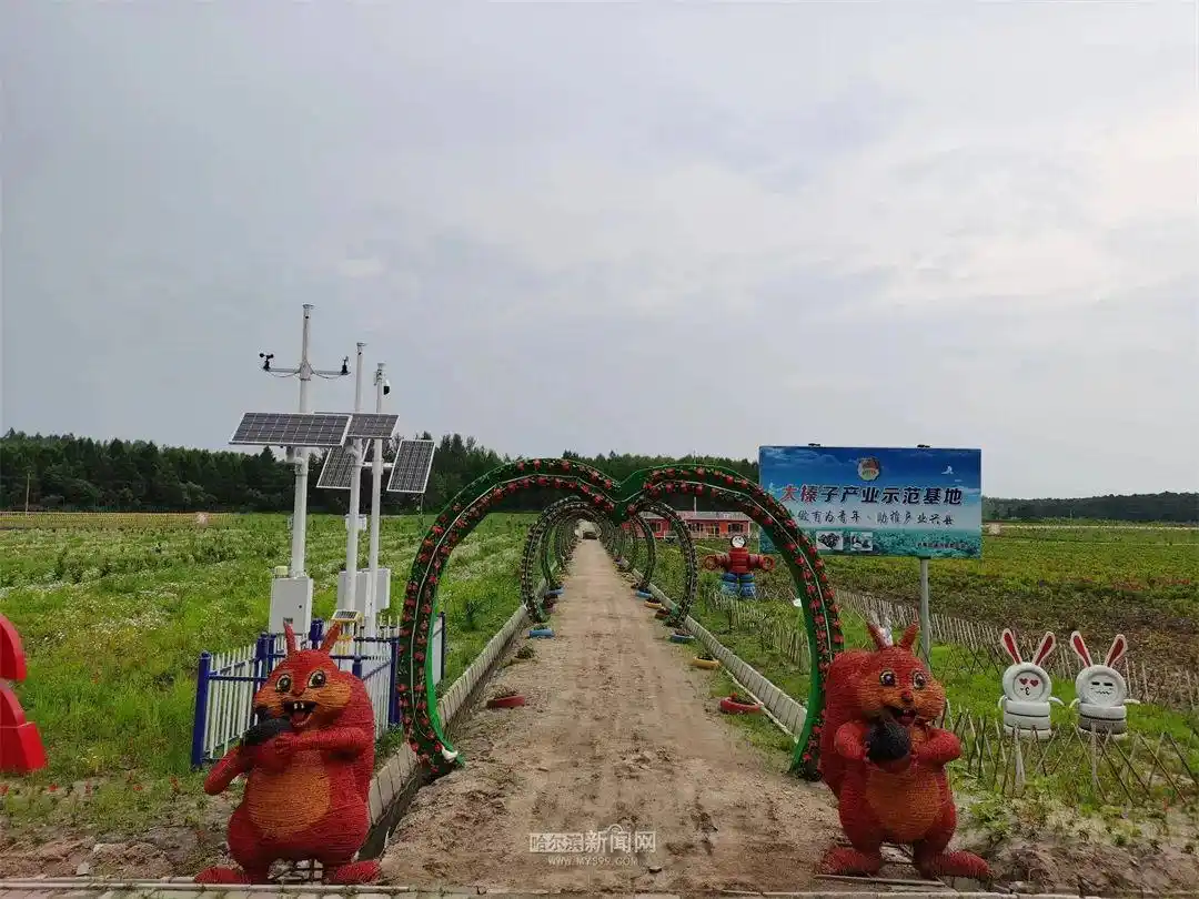 哈尔滨旅游攻略_哈尔滨市文旅局邀请“着急姐”来旅游创业_哈尔滨文旅局推出的七大主题16条线路