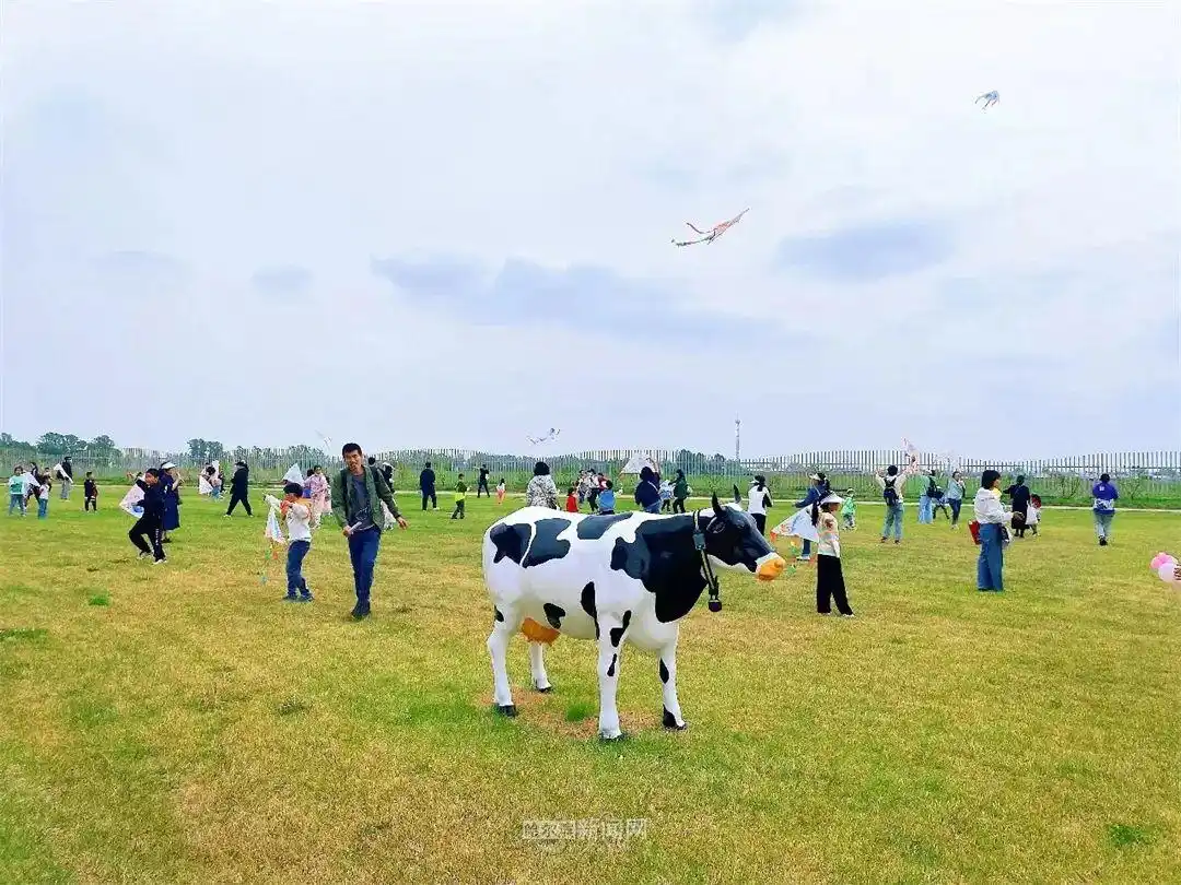 哈尔滨旅游攻略_哈尔滨文旅局推出的七大主题16条线路_哈尔滨市文旅局邀请“着急姐”来旅游创业