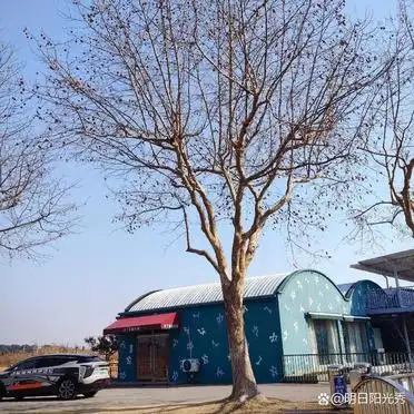 东方绿舟旅游攻略_上海<strong>东方绿舟保姆级路线攻略</strong>_避开人流高峰东方绿舟游玩路线