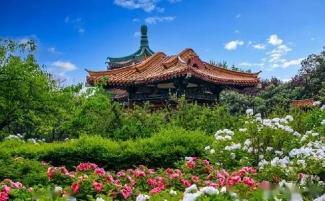龙门石窟旅游攻略_洛阳十大必玩景点_洛阳旅游攻略2026