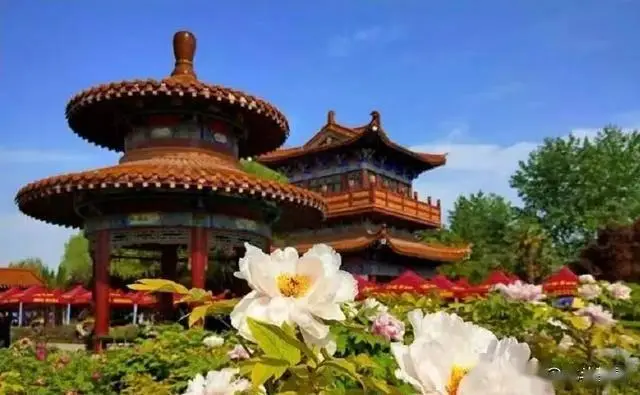 洛阳十大必玩景点_龙门石窟旅游攻略_洛阳旅游攻略2026