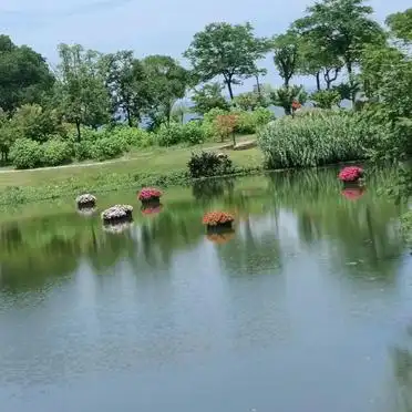 东方绿舟旅游攻略_东方绿舟高效游览路线指南_东方绿舟亲子遛娃路线攻略