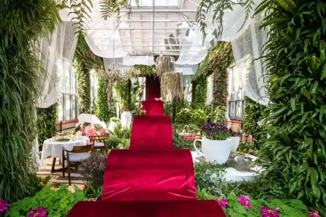 上海植物园旅游攻略_上海植物园国际花展_上海踏青赏花攻略