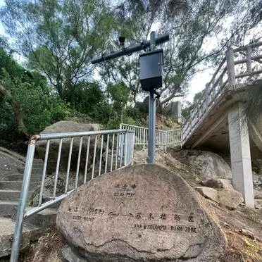 厦门五老峰最佳观赏点_厦门五老峰登山指南_厦门五老峰旅游攻略
