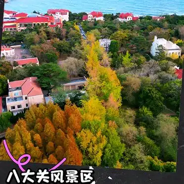 青岛栈桥旅游攻略_八大关栈桥攻略_青岛一日游路线