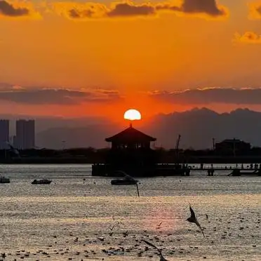 青岛栈桥周边景点推荐_青岛栈桥旅游攻略_青岛栈桥天气交通美食攻略