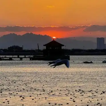 青岛栈桥天气交通美食攻略_青岛栈桥周边景点推荐_青岛栈桥旅游攻略