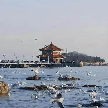 青岛栈桥旅游攻略_青岛栈桥周边景点推荐_青岛栈桥天气交通美食攻略