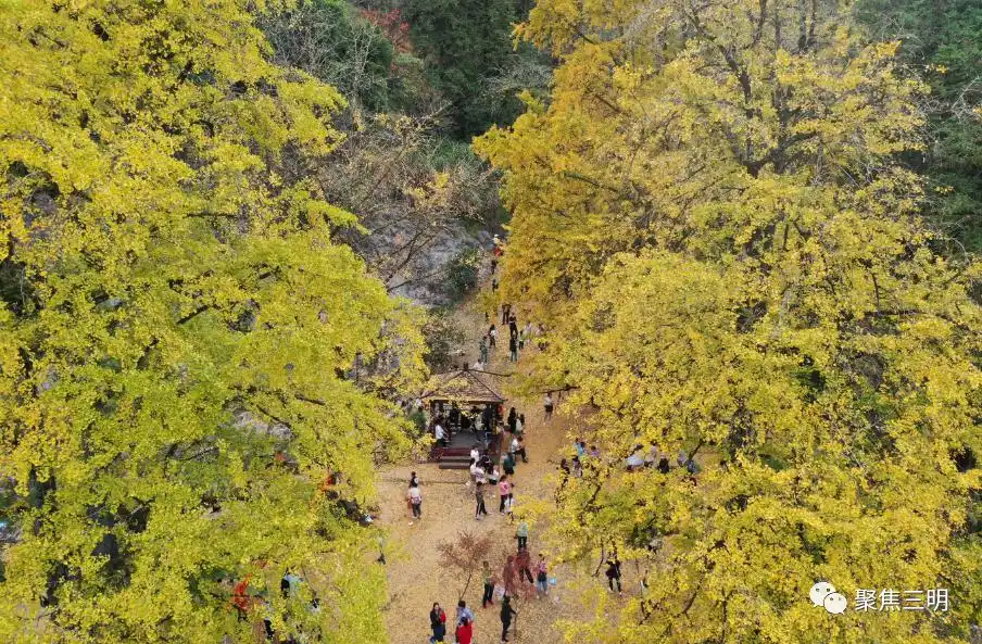福州三江口生态公园_福建漳浦旅游攻略_福建国庆旅游攻略