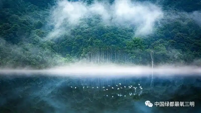 福州三江口生态公园_福建漳浦旅游攻略_福建国庆旅游攻略