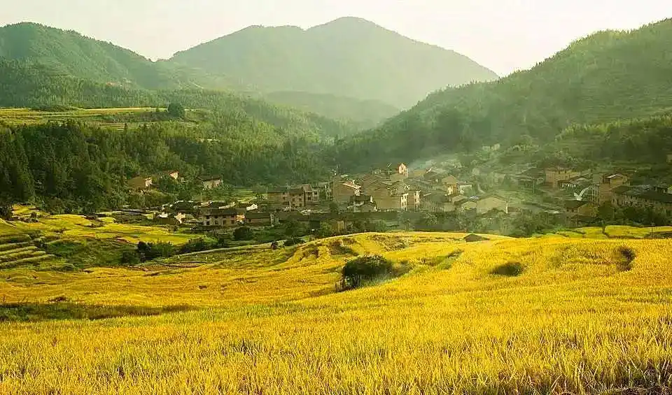 福建漳浦旅游攻略_福建国庆旅游攻略_福州三江口生态公园