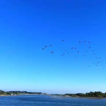 秦皇岛老龙头旅游攻略_老龙头旅游攻略_老龙头风景区交通指南