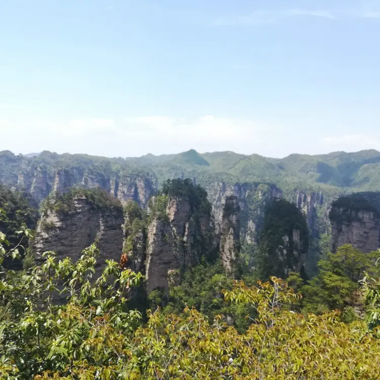 å¼ å®¶ç•Œæ￡®æž—å…¬å›-å¤§æ°§å§