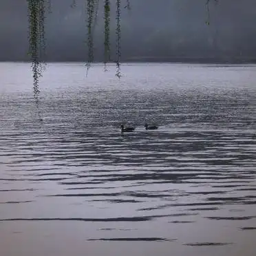 西湖周边景点攻略_西湖旅游攻略龙翔桥_龙翔桥地铁站到西湖公交路线