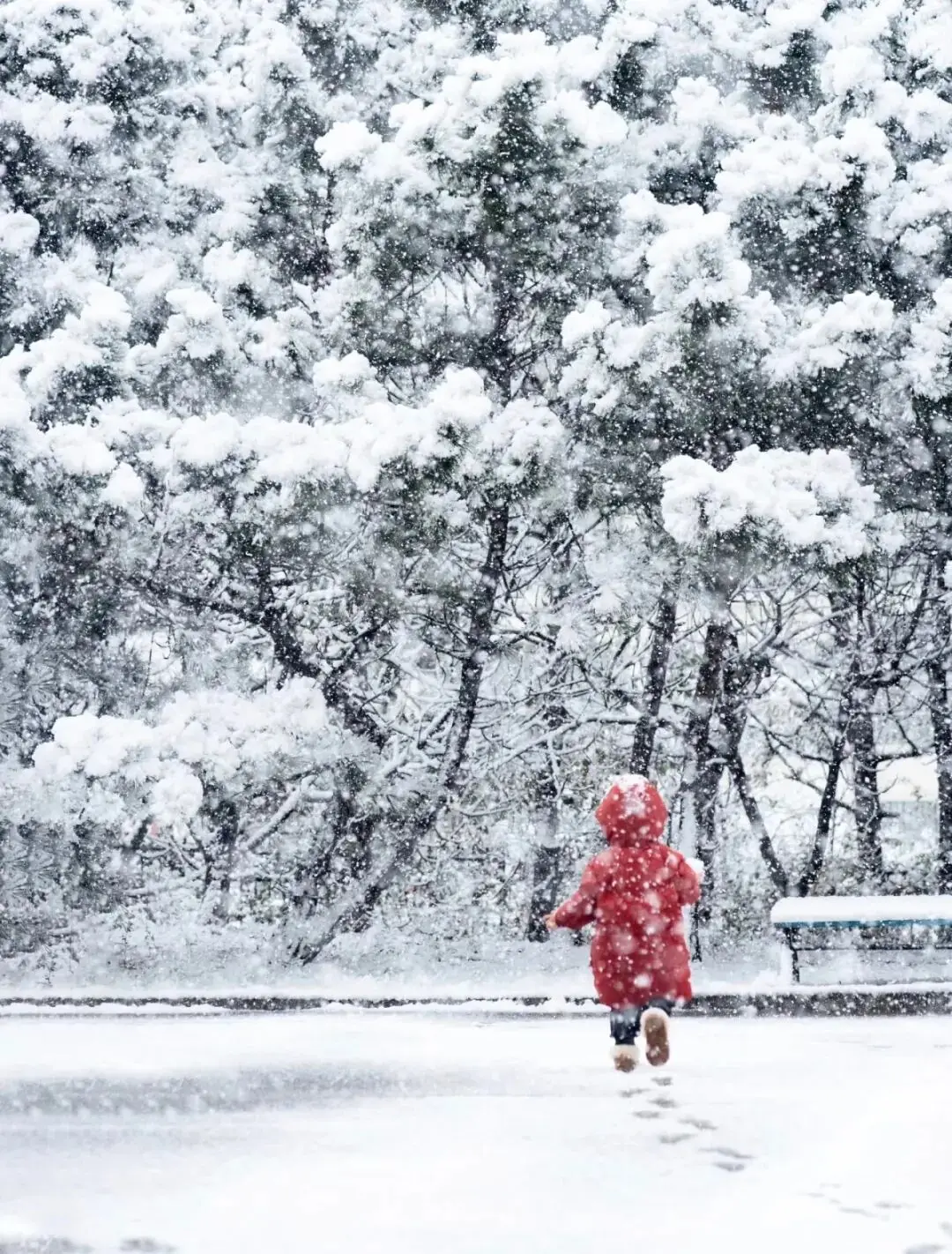 威海亲子旅游攻略_威海雪景遛娃线路推荐_威海带娃看雪旅游攻略