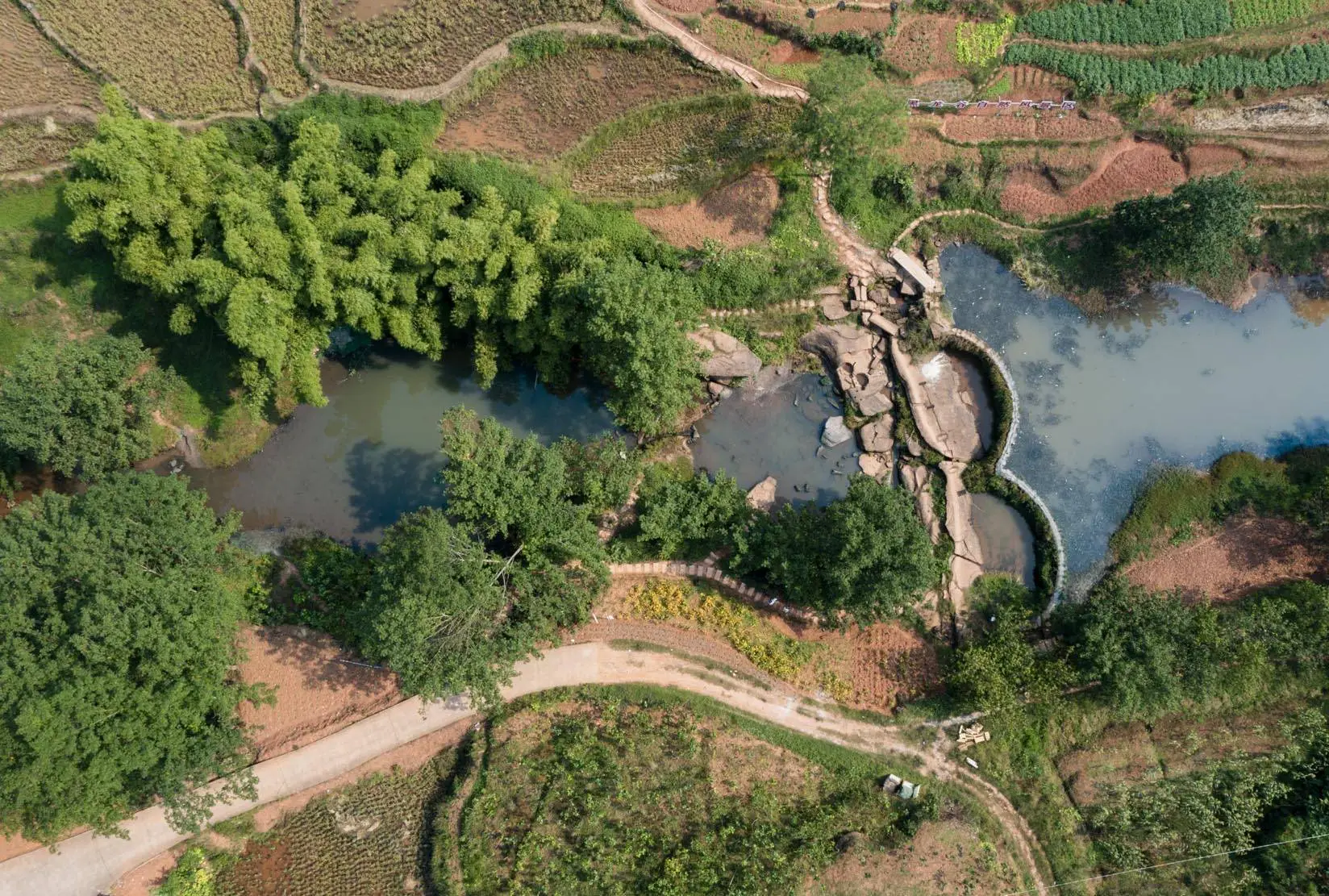 自贡旅游攻略_自贡恐龙博物馆荣县大佛_自贡旅游必去景点
