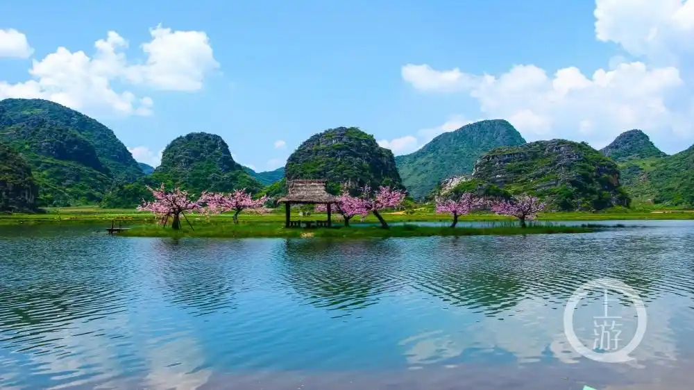文山州精品文旅线路_文山旅游攻略_普者黑旅游线路