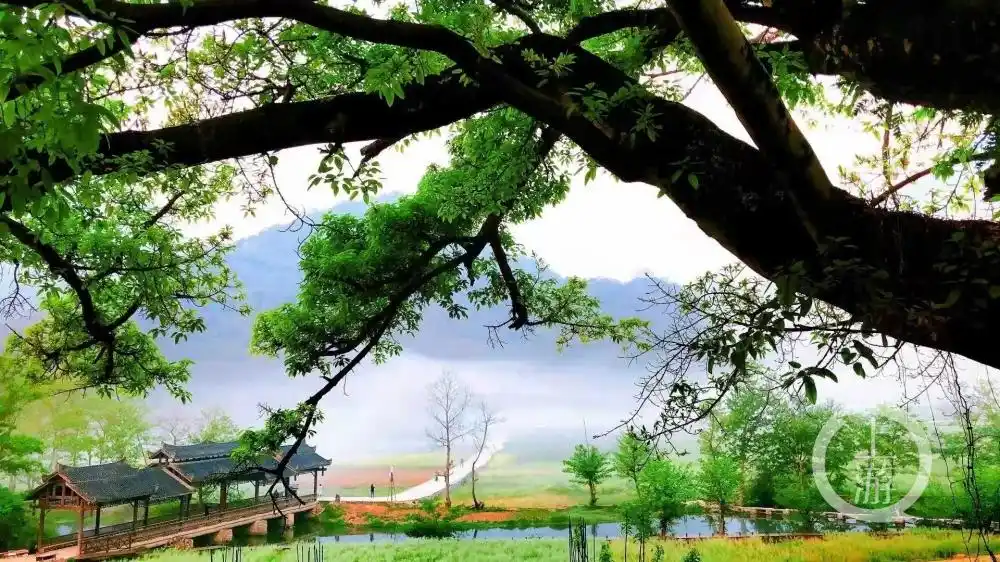 文山州精品文旅线路_普者黑旅游线路_文山旅游攻略