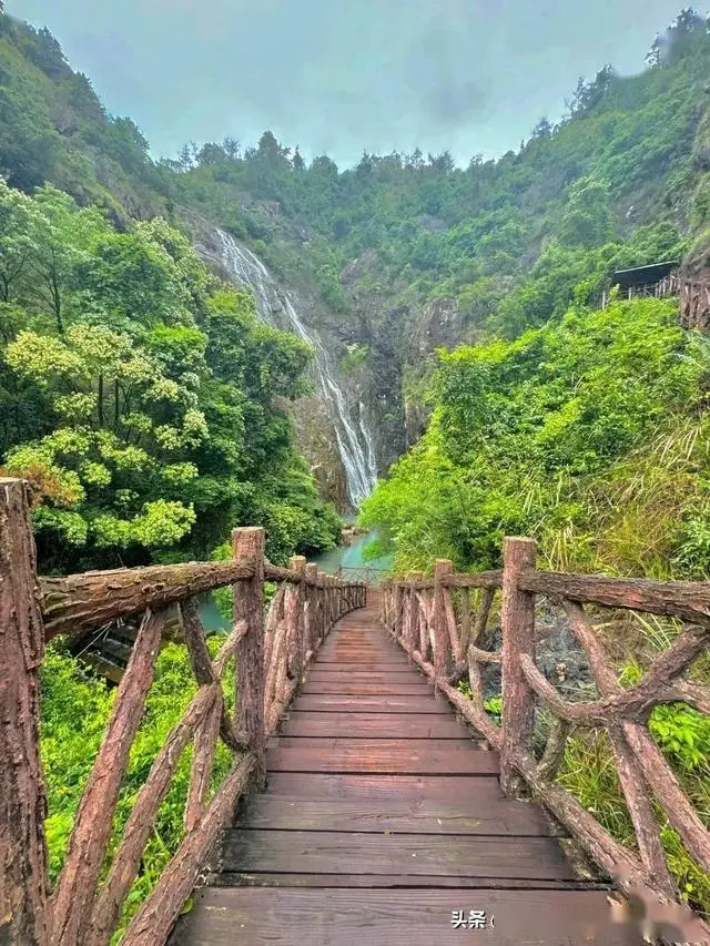 福建太姥山旅游攻略_福建每个城市特色景点推荐_福建9个地级市旅游攻略