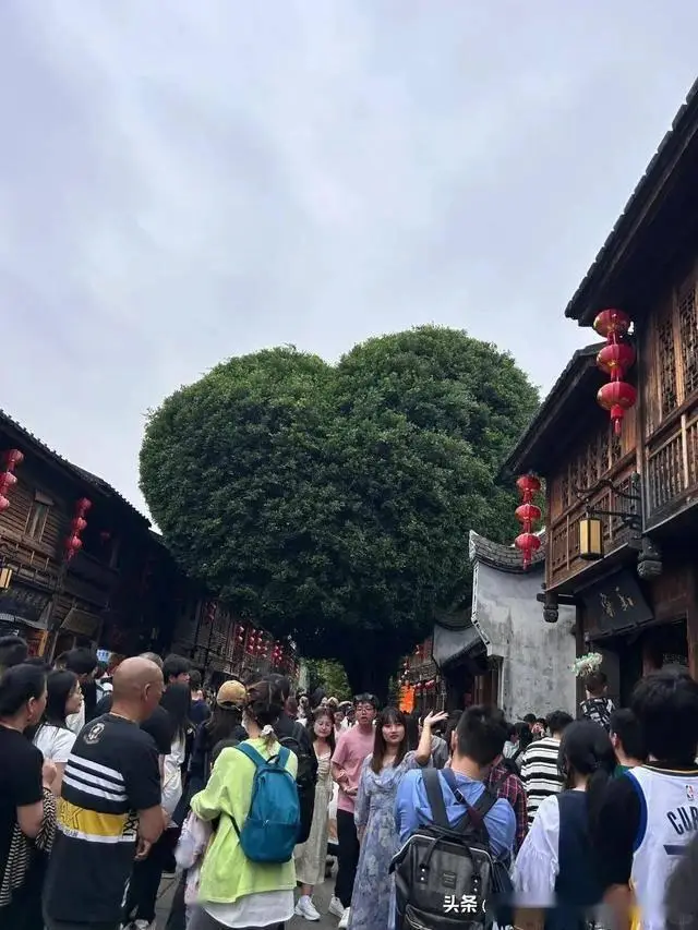 福建太姥山旅游攻略_福建9个地级市旅游攻略_福建每个城市特色景点推荐