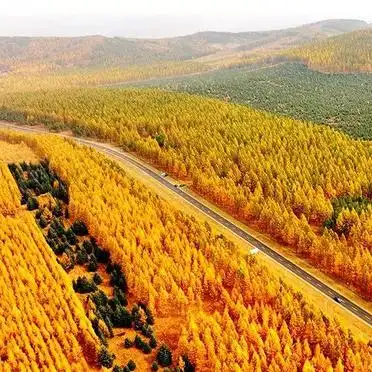 河北木兰围场旅游攻略_木兰围场秋季旅游攻略_
