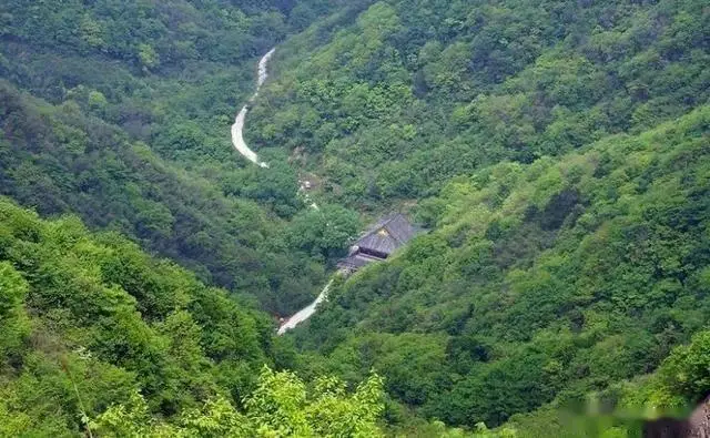 益阳十大必玩景点_益阳旅游攻略_桃花江竹海旅游攻略