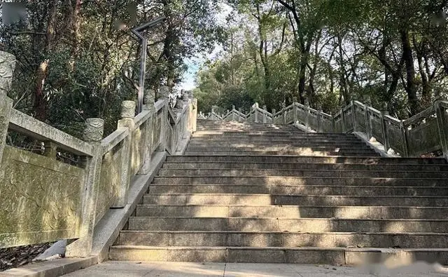 桃花江竹海旅游攻略_益阳十大必玩景点_益阳旅游攻略