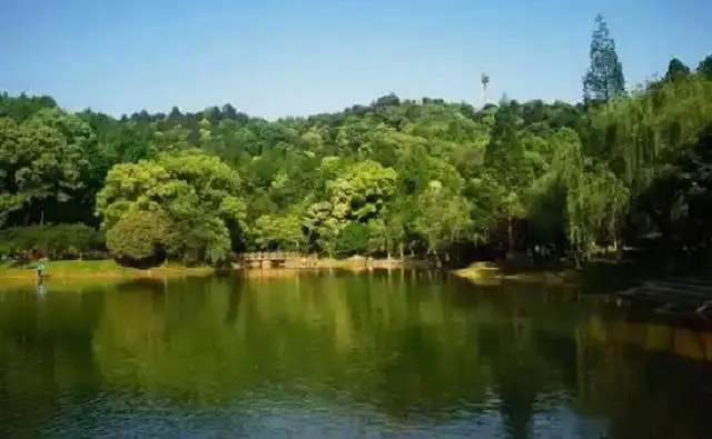 桃花江竹海旅游攻略_益阳旅游攻略_益阳十大必玩景点