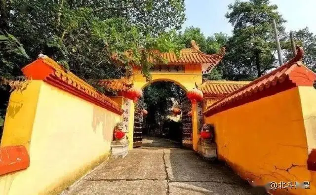 桃花江竹海旅游攻略_益阳旅游攻略_益阳十大必玩景点