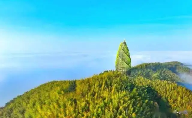 桃花江竹海旅游攻略_益阳十大必玩景点_益阳旅游攻略