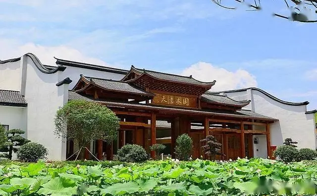 益阳十大必玩景点_桃花江竹海旅游攻略_益阳旅游攻略