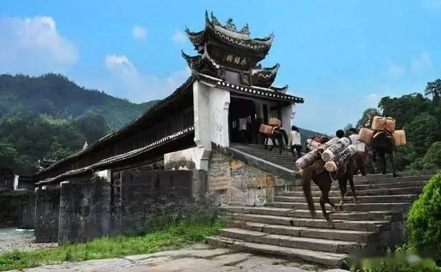 益阳十大必玩景点_桃花江竹海旅游攻略_益阳旅游攻略