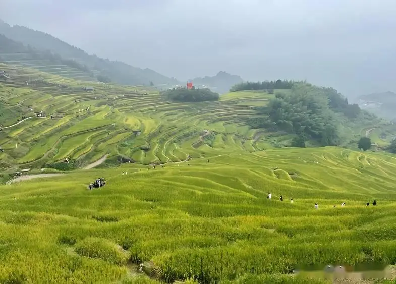 仙都云和梯田古堰画乡游玩指南_丽水十大景点攻略_丽水旅游攻略