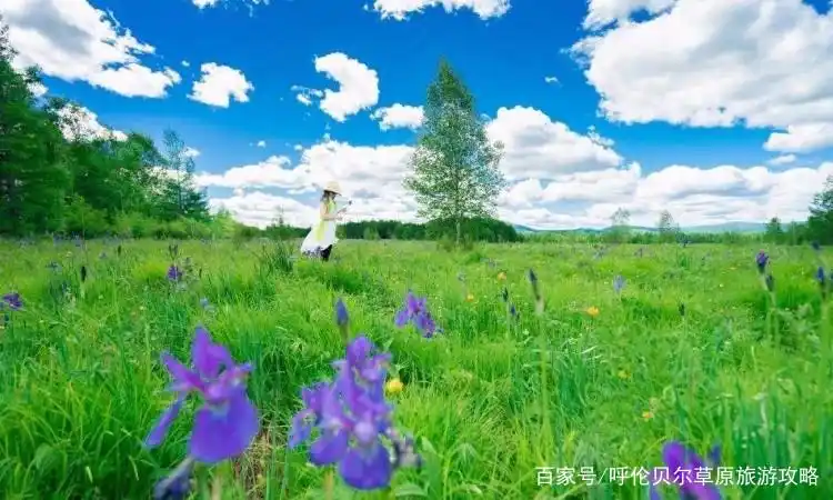 选择正规旅行社纯玩团_到呼伦贝尔跟团旅游攻略_呼伦贝尔阿尔山跟团旅游攻略
