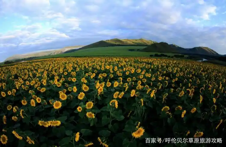 选择正规旅行社纯玩团_到呼伦贝尔跟团旅游攻略_呼伦贝尔阿尔山跟团旅游攻略