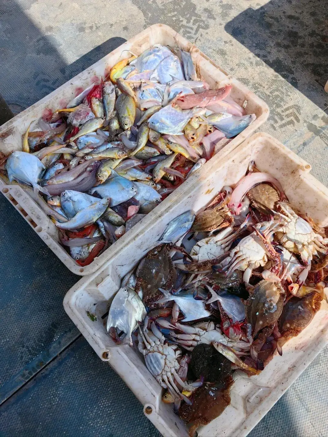 嵊泗列岛海岛风光_嵊泗列岛旅游攻略_嵊泗列岛旅游攻略自驾