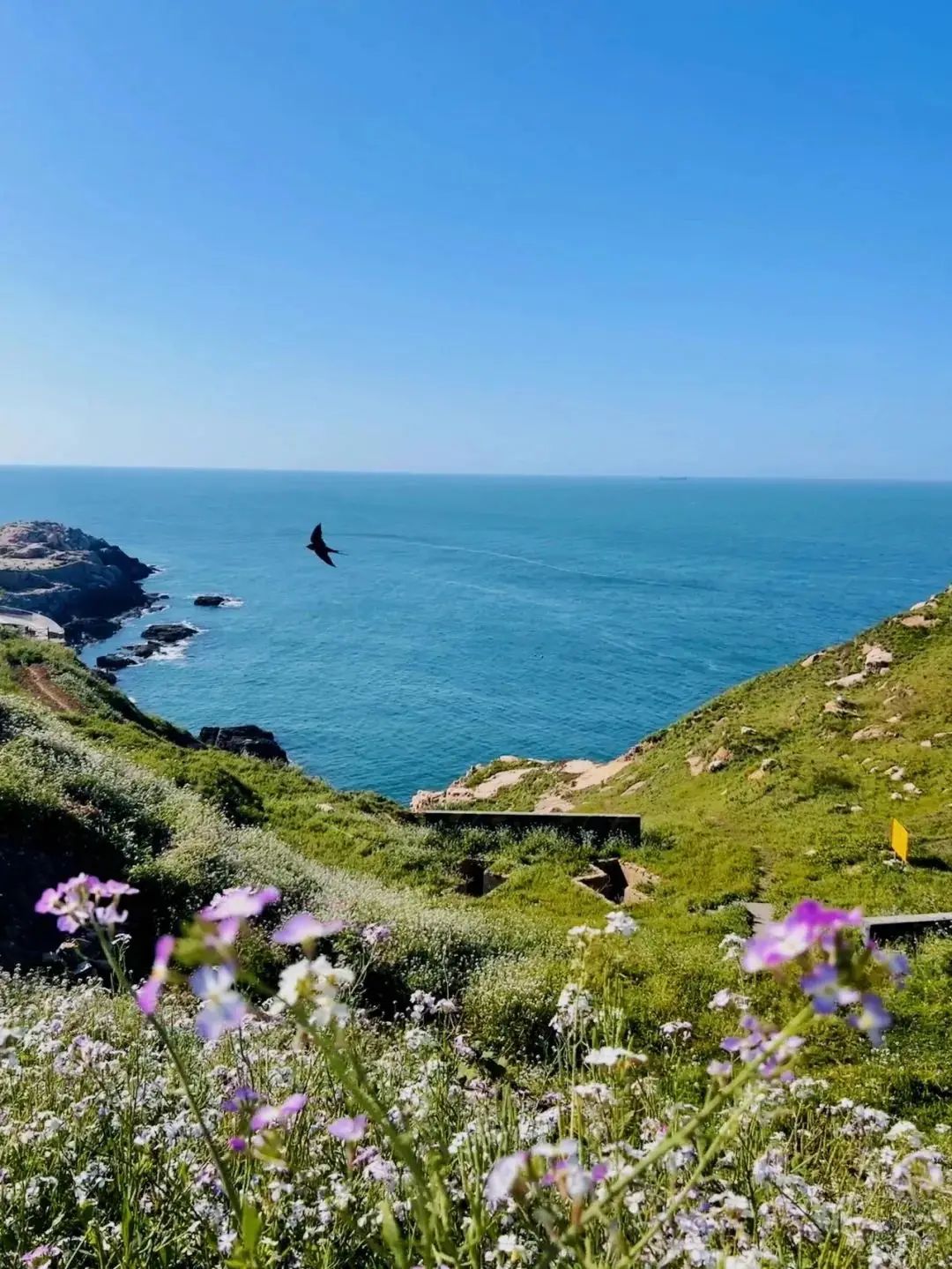 嵊泗列岛旅游攻略_嵊泗列岛旅游攻略自驾_嵊泗列岛海岛风光