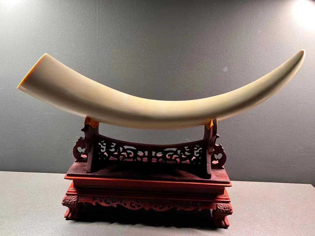 塞舌尔旅游胜地_塞舌尔经济发展_塞舌尔旅游攻略马蜂窝