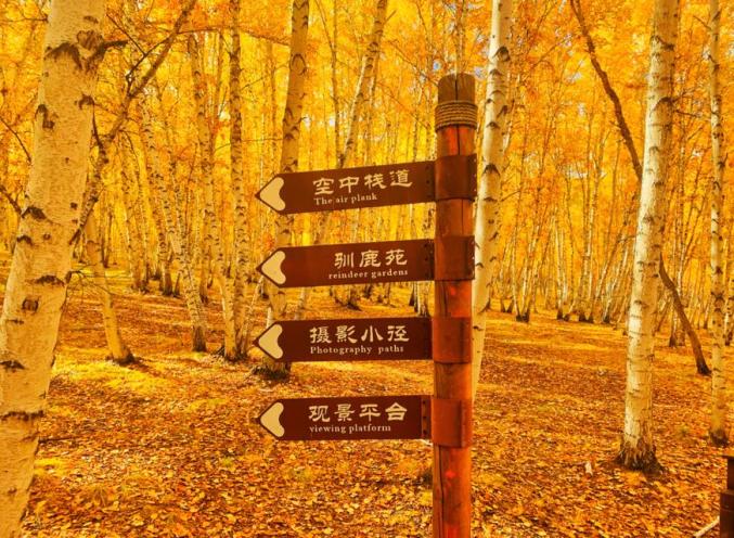 内蒙古呼伦贝尔阿荣旗旅游攻略_内蒙古呼伦贝尔秋季旅游线路_呼伦贝尔秋季自驾旅游线路