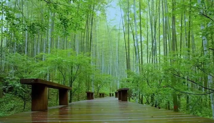 云栖竹径推荐_杭州云栖竹径旅游攻略_杭州避暑地