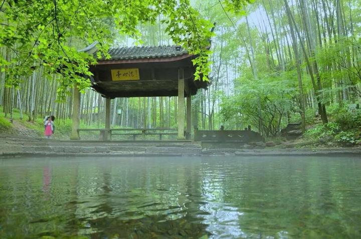 杭州云栖竹径旅游攻略_杭州避暑地_云栖竹径推荐