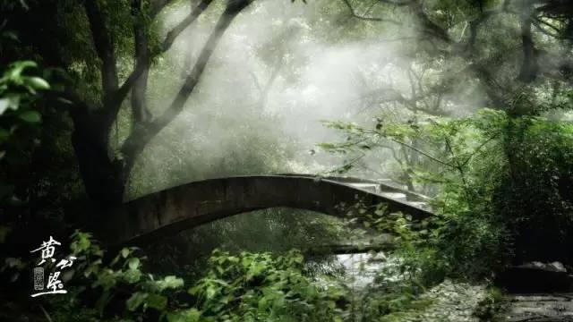杭州云栖竹径旅游攻略_云栖竹径推荐_杭州避暑地