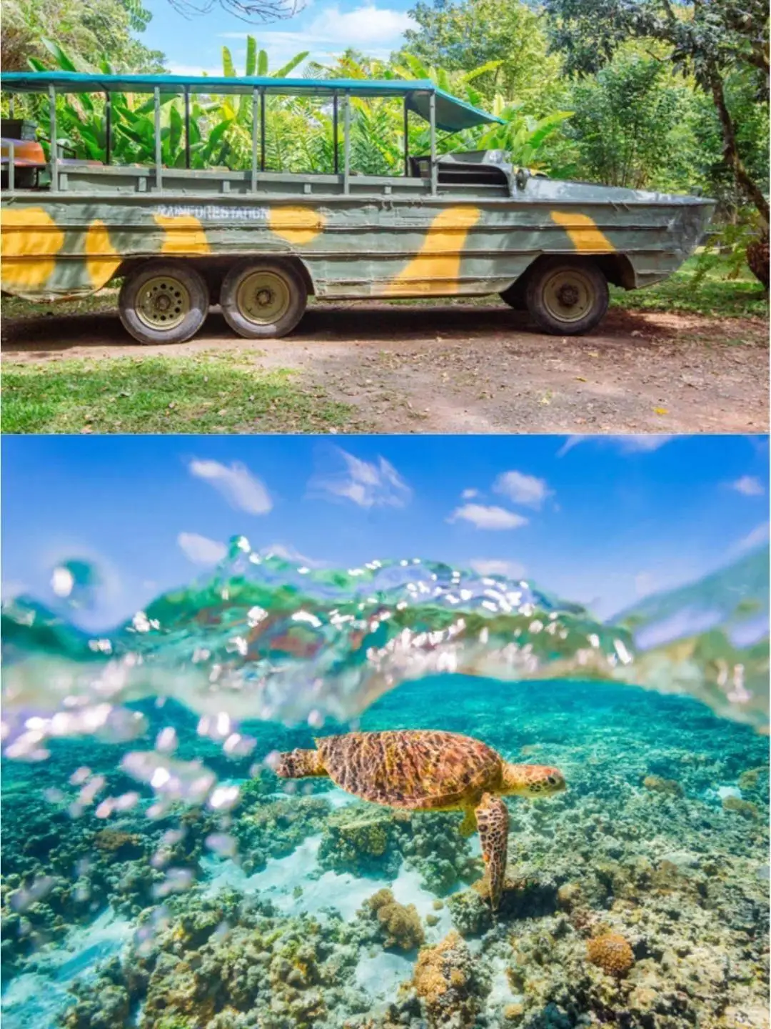 6月澳大利亚旅游攻略_澳大利亚签证办理_澳大利亚最佳旅行时间