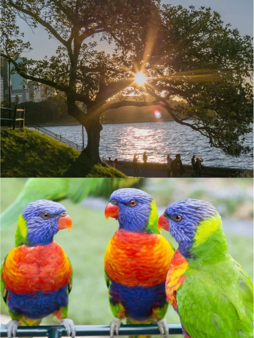 6月澳大利亚旅游攻略_澳大利亚签证办理_澳大利亚最佳旅行时间