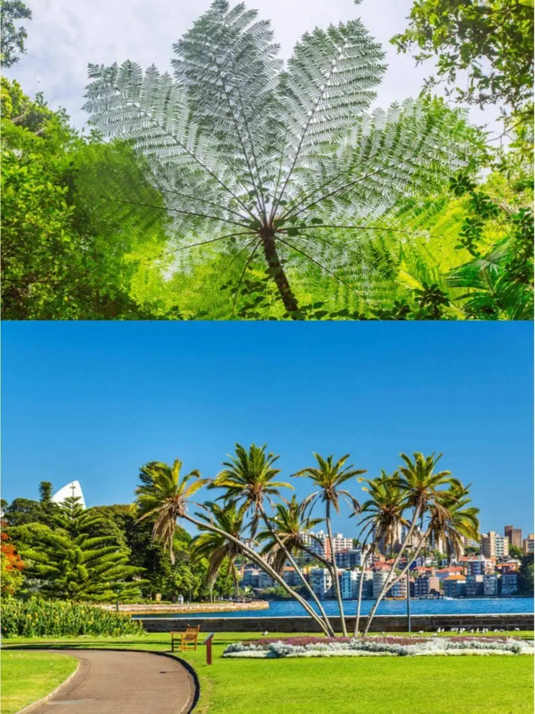 澳大利亚签证办理_澳大利亚最佳旅行时间_6月澳大利亚旅游攻略