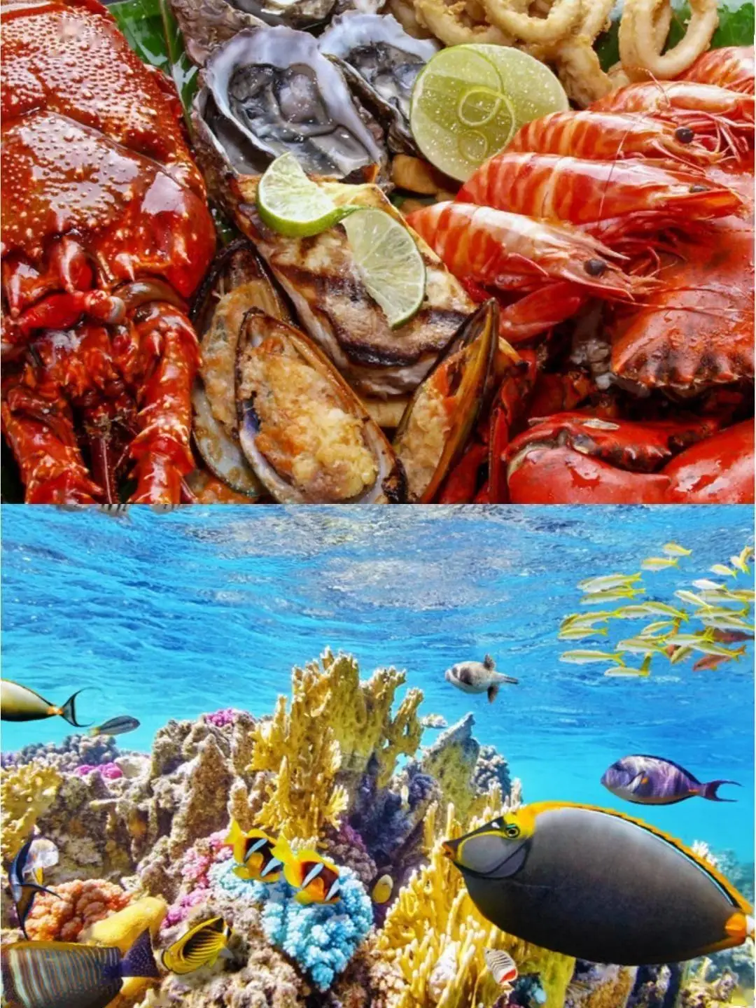 澳大利亚最佳旅行时间_6月澳大利亚旅游攻略_澳大利亚签证办理