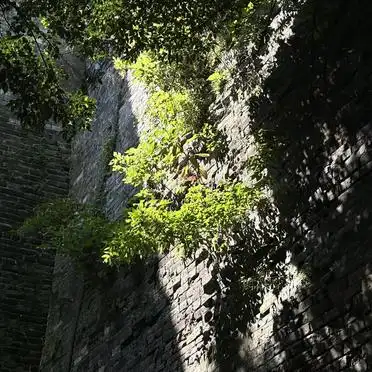 高铁出行南京一日游_上海去南京旅游攻略_上海南京一日游攻略