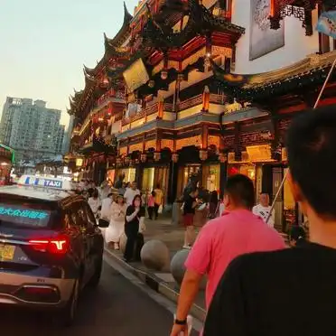 高铁出行南京一日游_上海去南京旅游攻略_上海南京一日游攻略