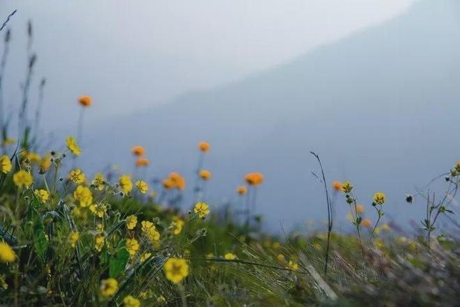 小五台山旅游攻略_小五台山户外圣地_京津冀徒步穿越路线