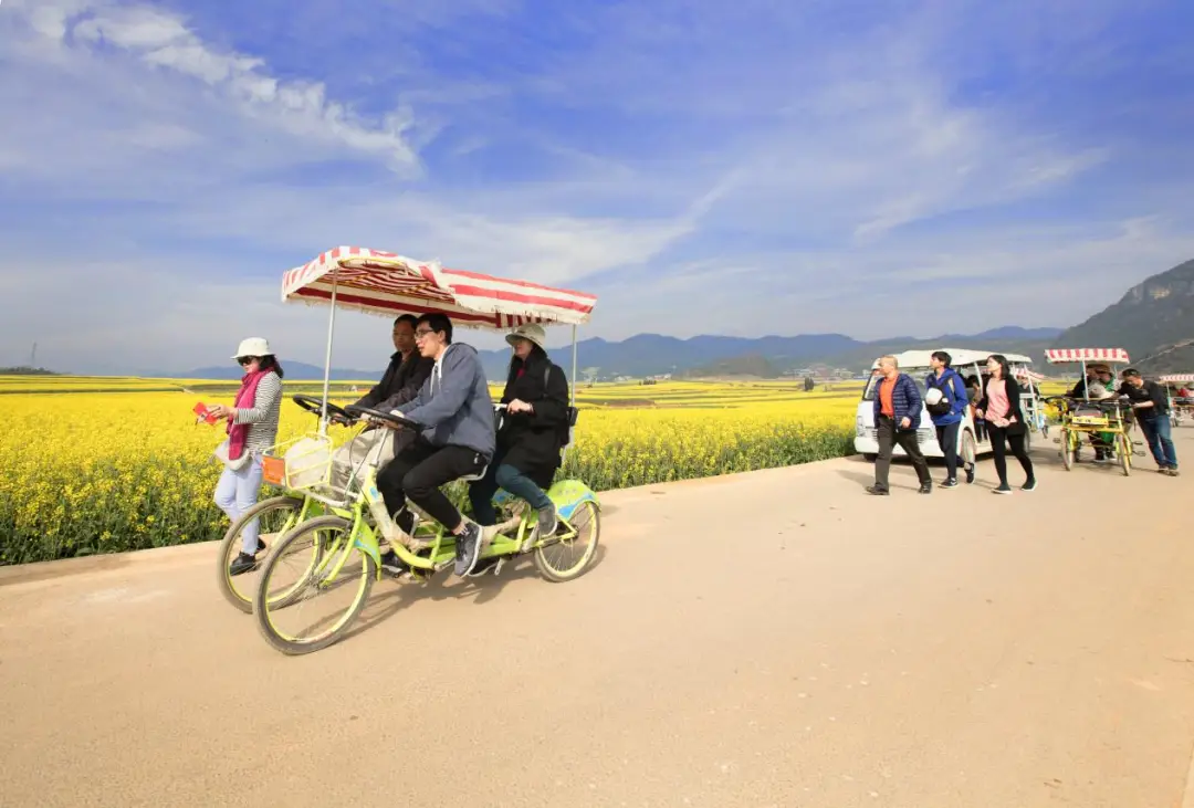 罗平旅游攻略_罗平旅游攻略_欢乐童世界